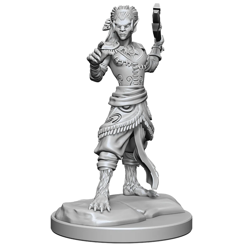 Nolzur's Marvelous Miniatures: Shifter Fighter