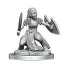 Nolzur's Marvelous Miniatures: Shifter Fighter