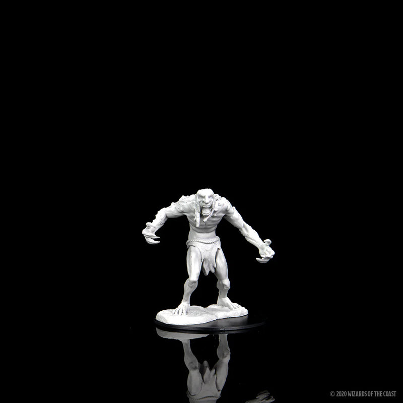 Nolzur's Marvelous Miniatures: Raging Troll